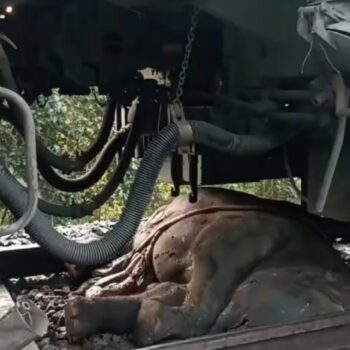 Screenshot_20251201_092215_Video Player