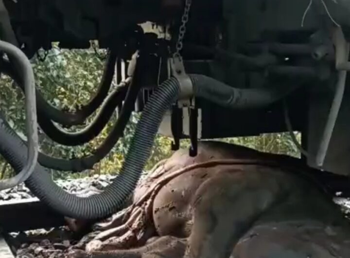 Screenshot_20251201_092215_Video Player