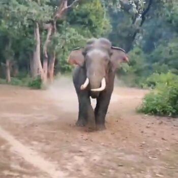 Screenshot_20251204_171706_Gallery