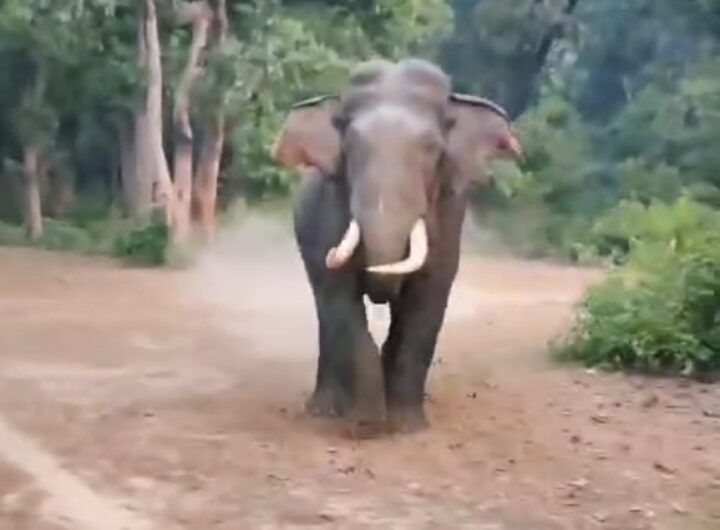 Screenshot_20251204_171706_Gallery