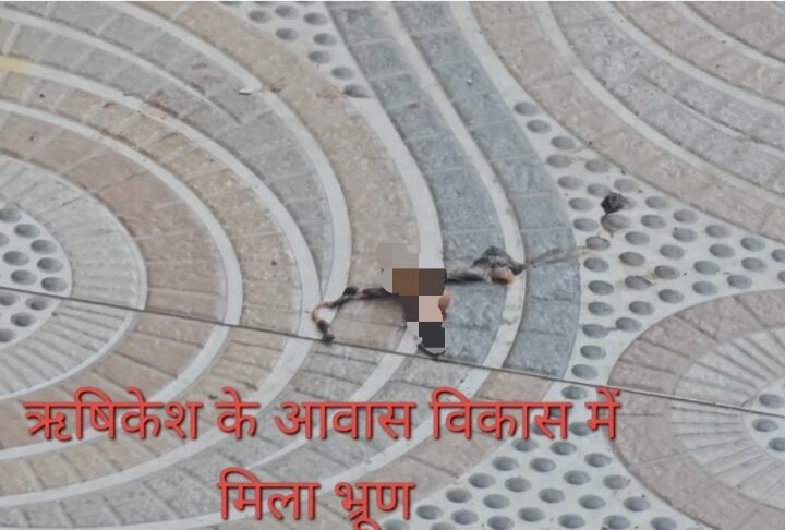 Screenshot_20251208_174951_Gallery