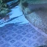 Screenshot_20260216_094924_Video Player