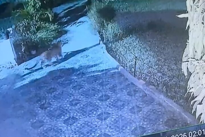 Screenshot_20260216_094924_Video Player