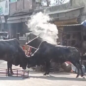 Screenshot_20260222_120930_Video Player