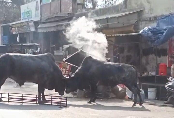 Screenshot_20260222_120930_Video Player