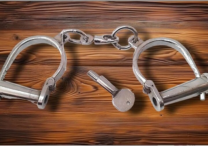 81slTpSg28L._AC_UF894,1000_QL80_